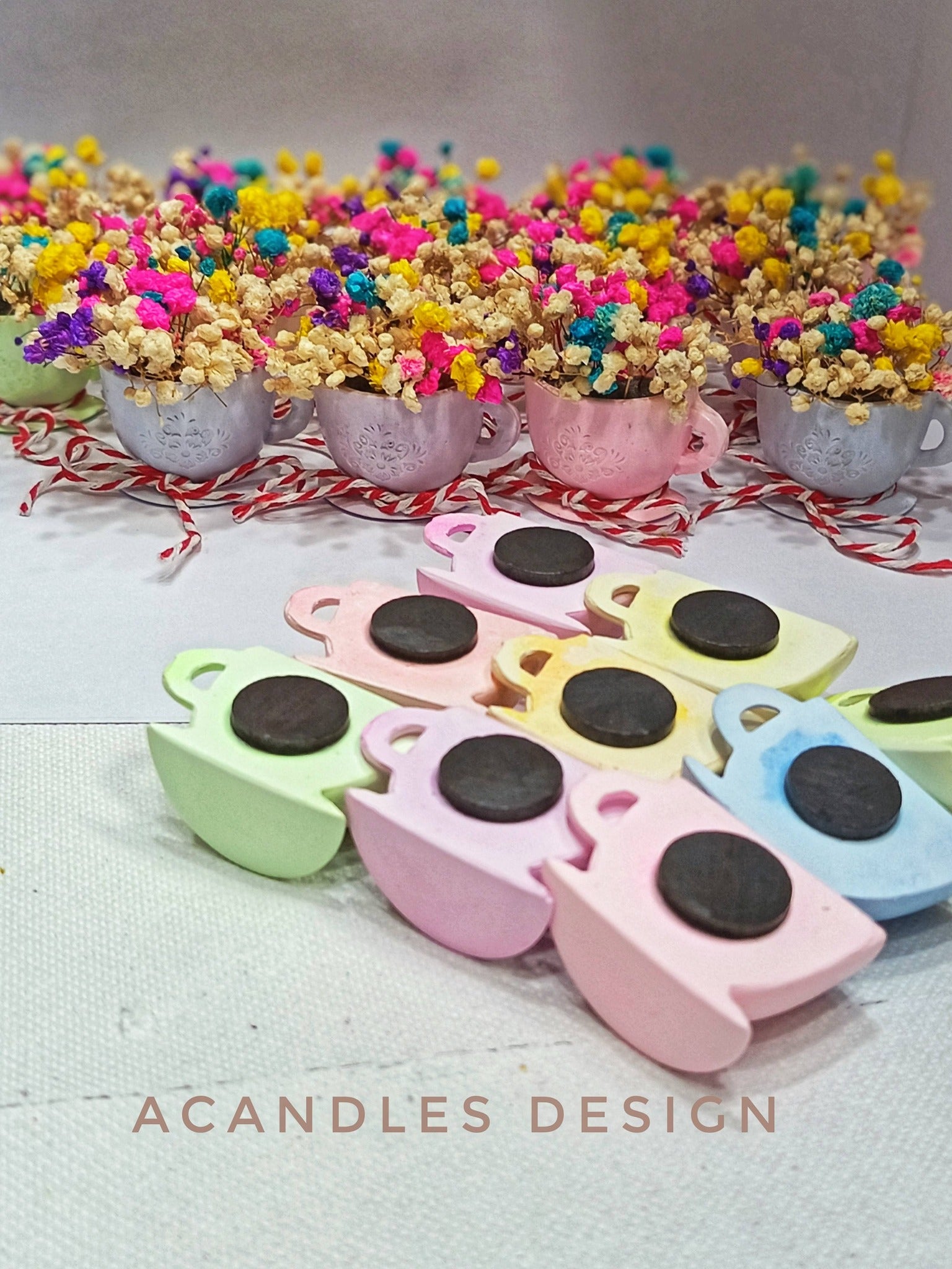 Căniță magnetică