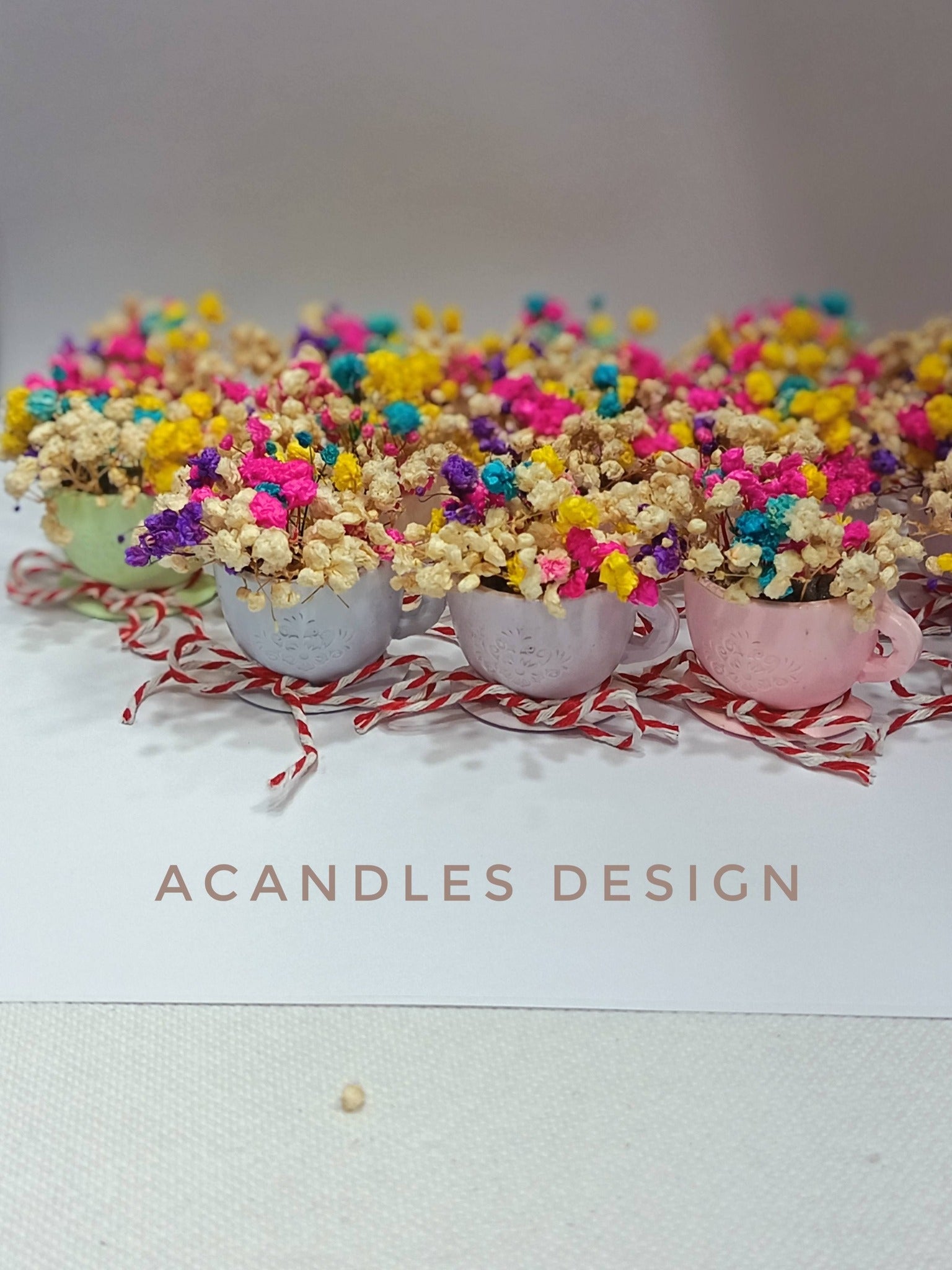 Căniță magnetică