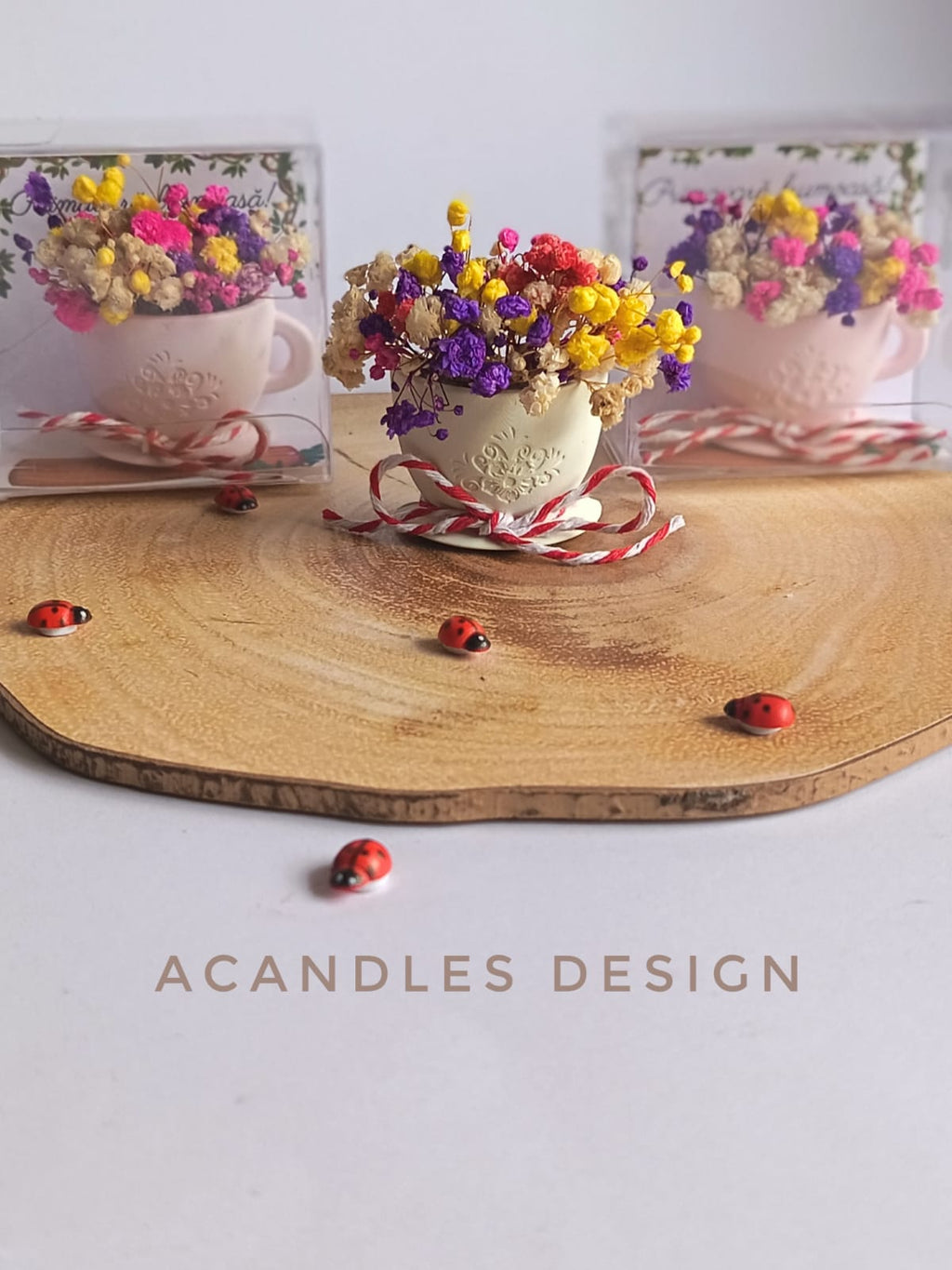 Căniță magnetică